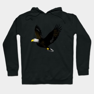 The Power of an Eagle Hoodie
